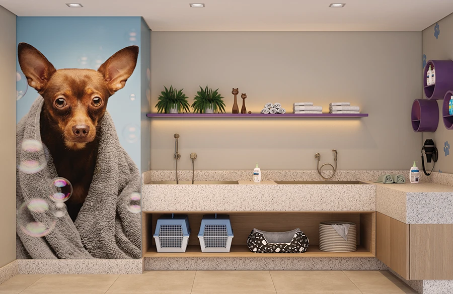 7 PETCARE_RUA-DO-MATOSO_HD copy